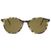 Capretta Classic Tortoise