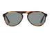 F-36 Vintage Tortoise (Base Zero)